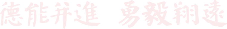 樱花成视频yh人入口