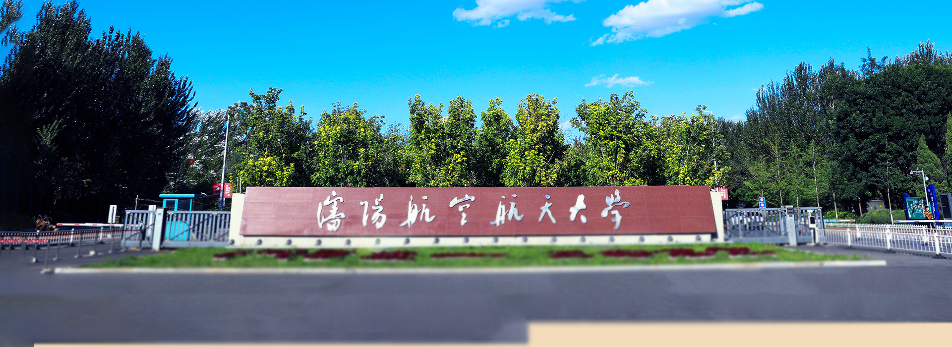 樱花成视频yh人入口