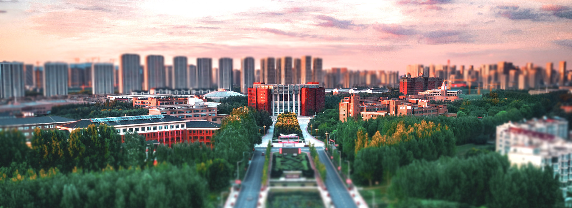 樱花成视频yh人入口