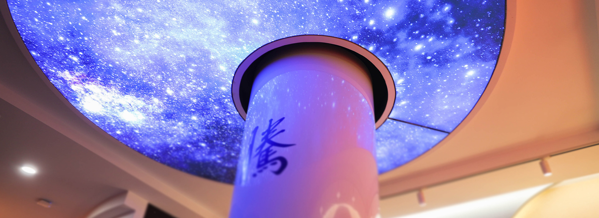 樱花成视频yh人入口