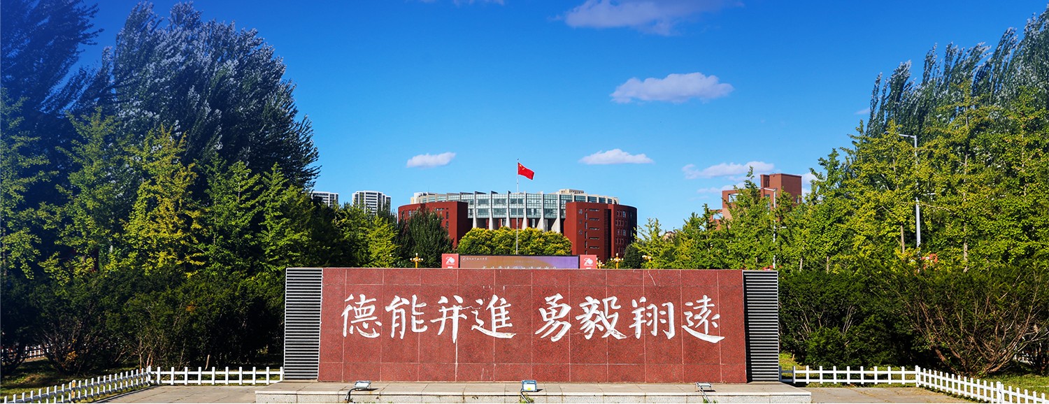樱花成视频yh人入口
