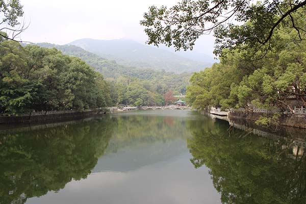 樱花成视频yh人入口