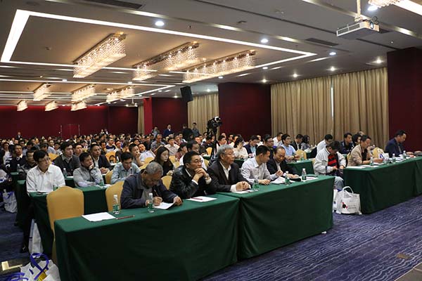 樱花成视频yh人入口