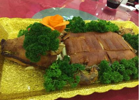 樱花成视频yh人入口