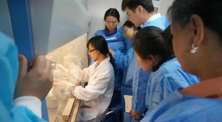 樱花成视频yh人入口
