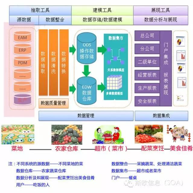 樱花成视频yh人入口