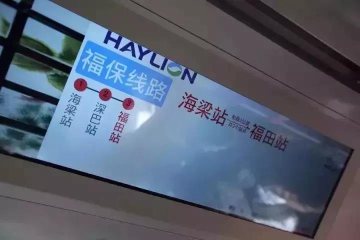 樱花成视频yh人入口