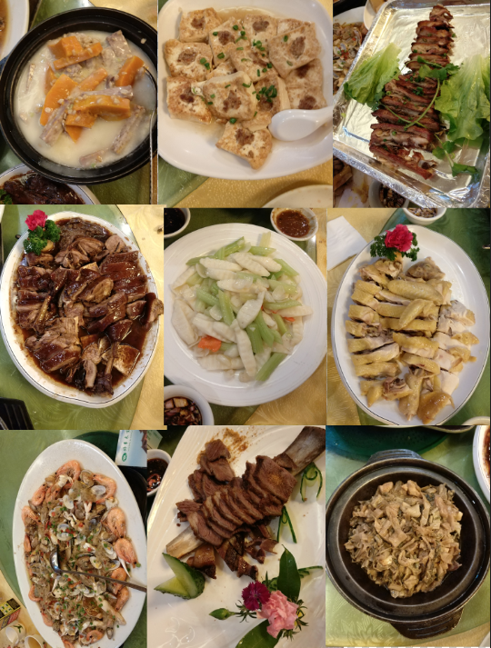 樱花成视频yh人入口