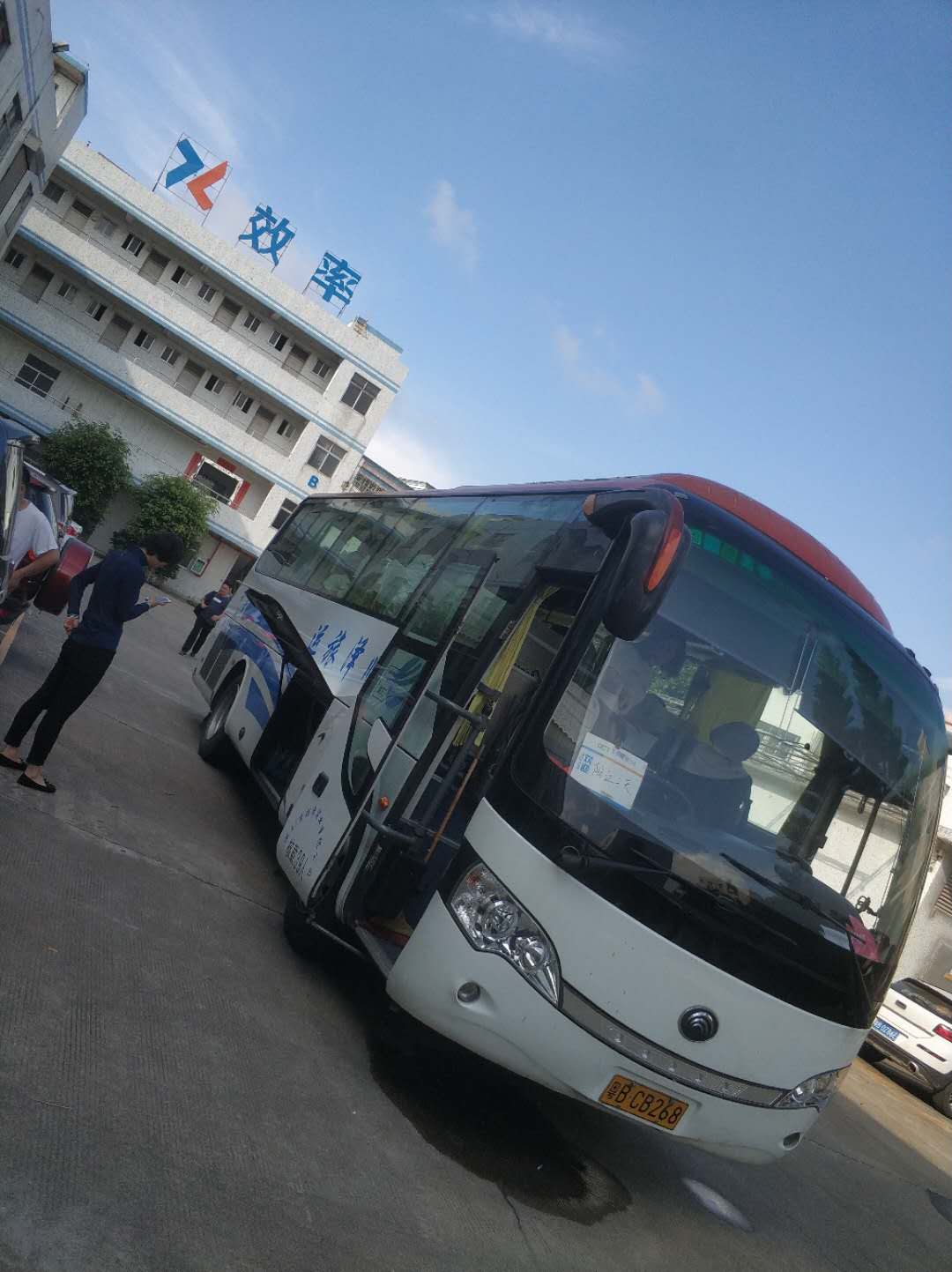 樱花成视频yh人入口