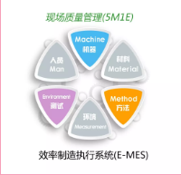 樱花成视频yh人入口