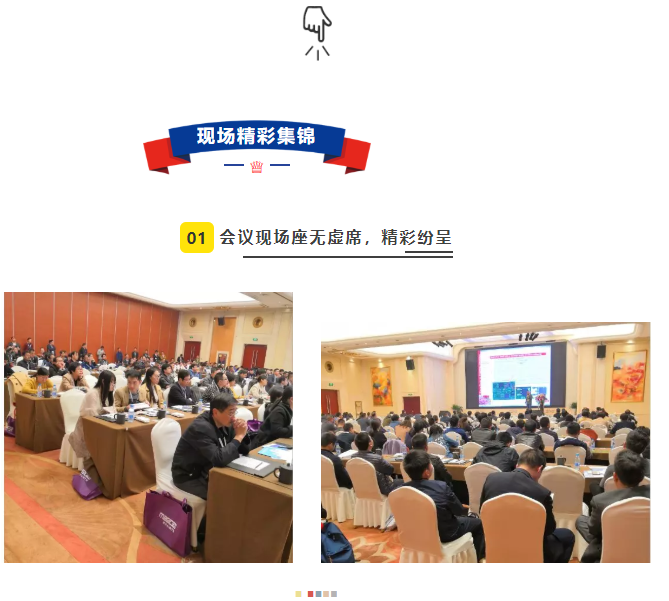 樱花成视频yh人入口